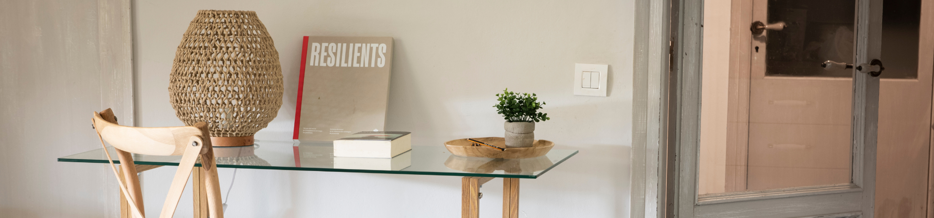 Colección New Beginnings